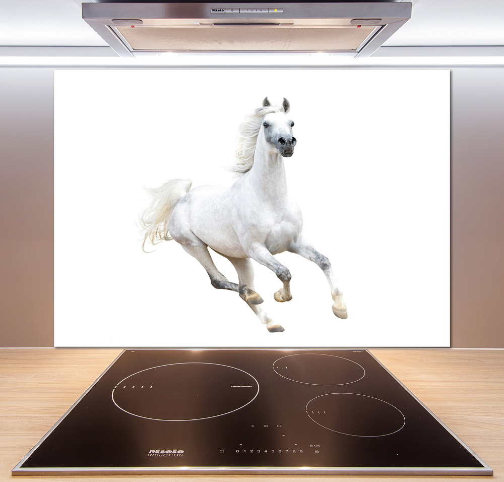 Panneaux de cuisine Cheval arabe blanc