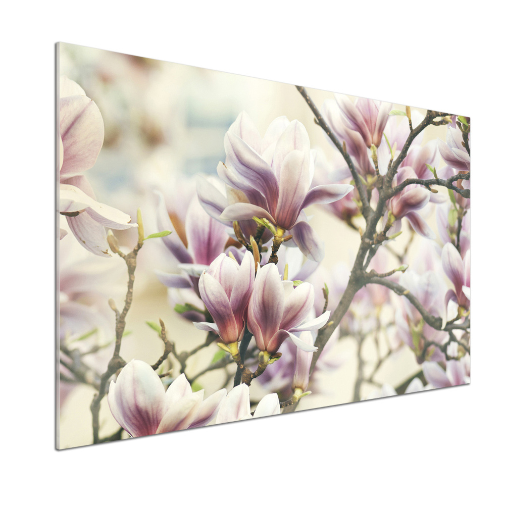 Crédence en verre avec motif Magnolia