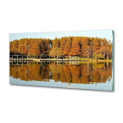 Crédence en verre avec motif Forêt de bord de lac