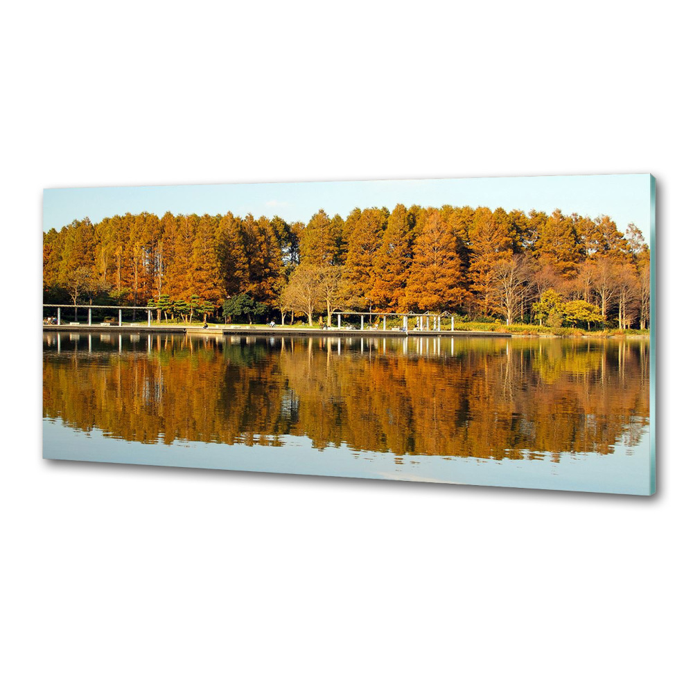 Crédence en verre avec motif Forêt de bord de lac