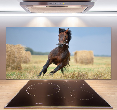 Crédence de cuisine en verre Cheval au galop