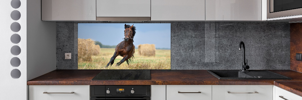 Crédence de cuisine en verre Cheval au galop