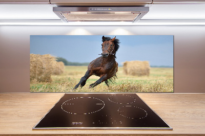 Crédence de cuisine en verre Cheval au galop