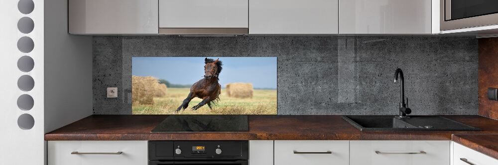 Crédence de cuisine en verre Cheval au galop