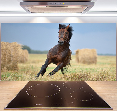 Crédence de cuisine en verre Cheval au galop