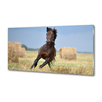 Crédence de cuisine en verre Cheval au galop