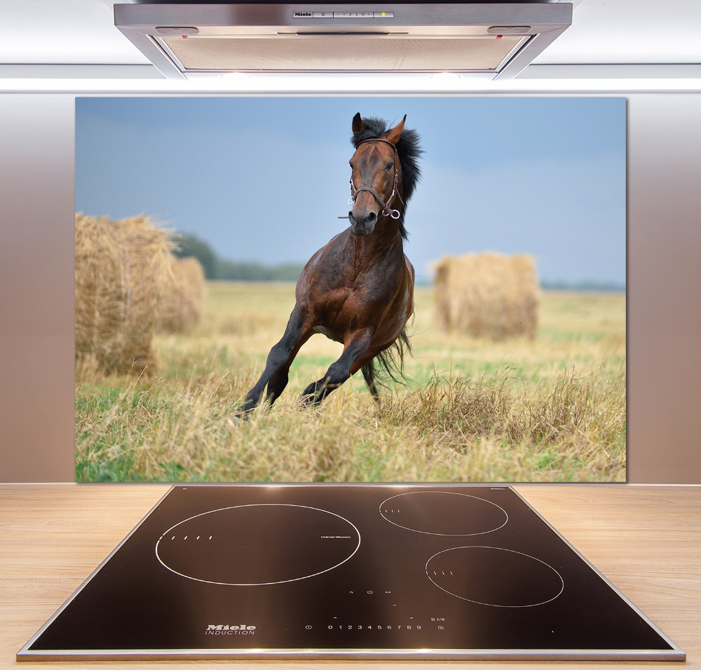 Crédence de cuisine en verre Cheval au galop