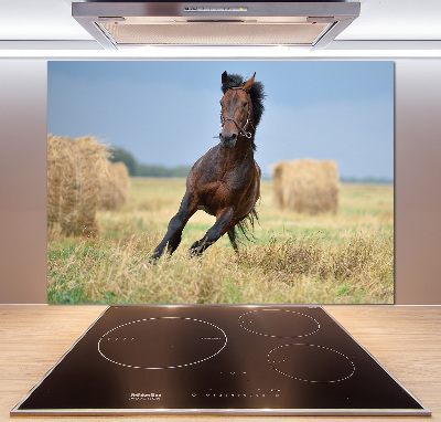 Crédence de cuisine en verre Cheval au galop