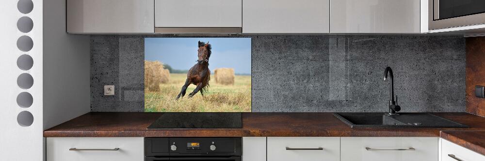 Crédence de cuisine en verre Cheval au galop