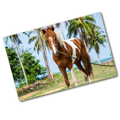 Protection plaque induction Un cheval doux