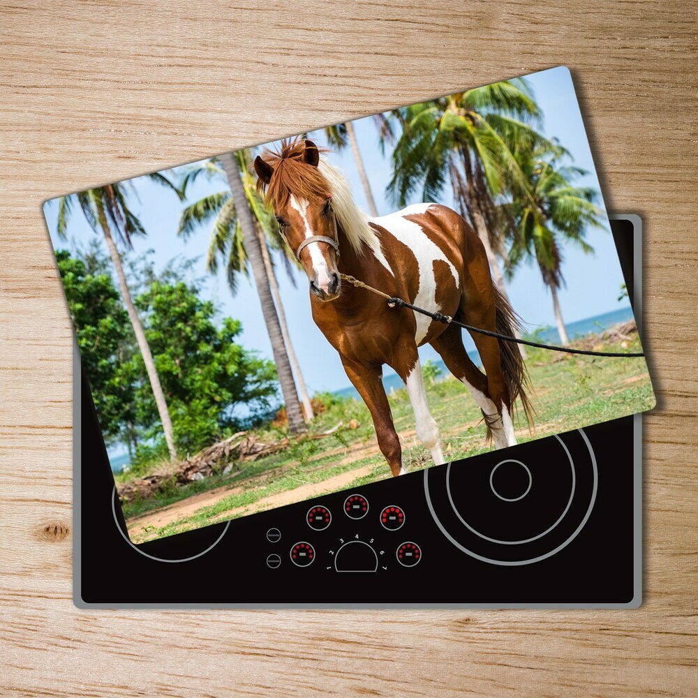 Protection plaque induction Un cheval doux