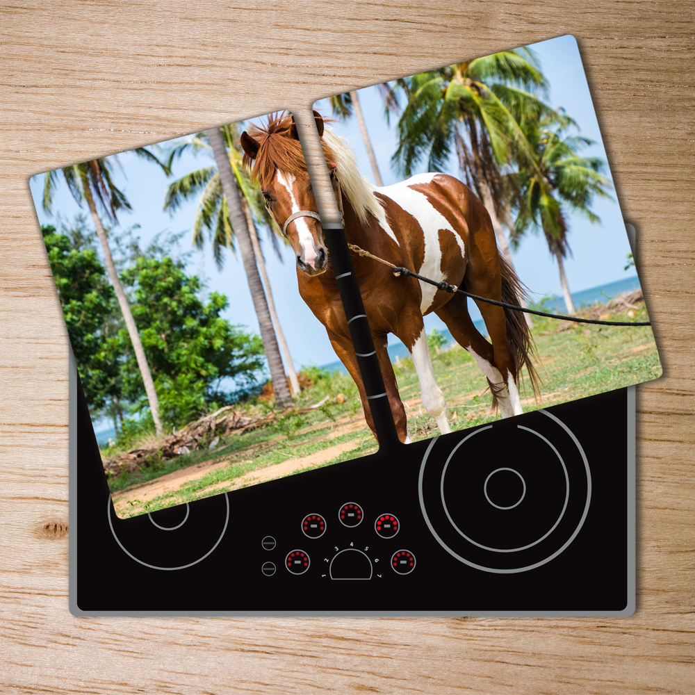 Protection plaque induction Un cheval doux