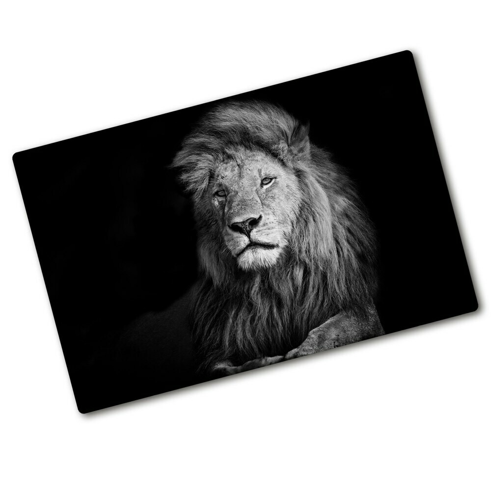 Protection plaque induction Lion