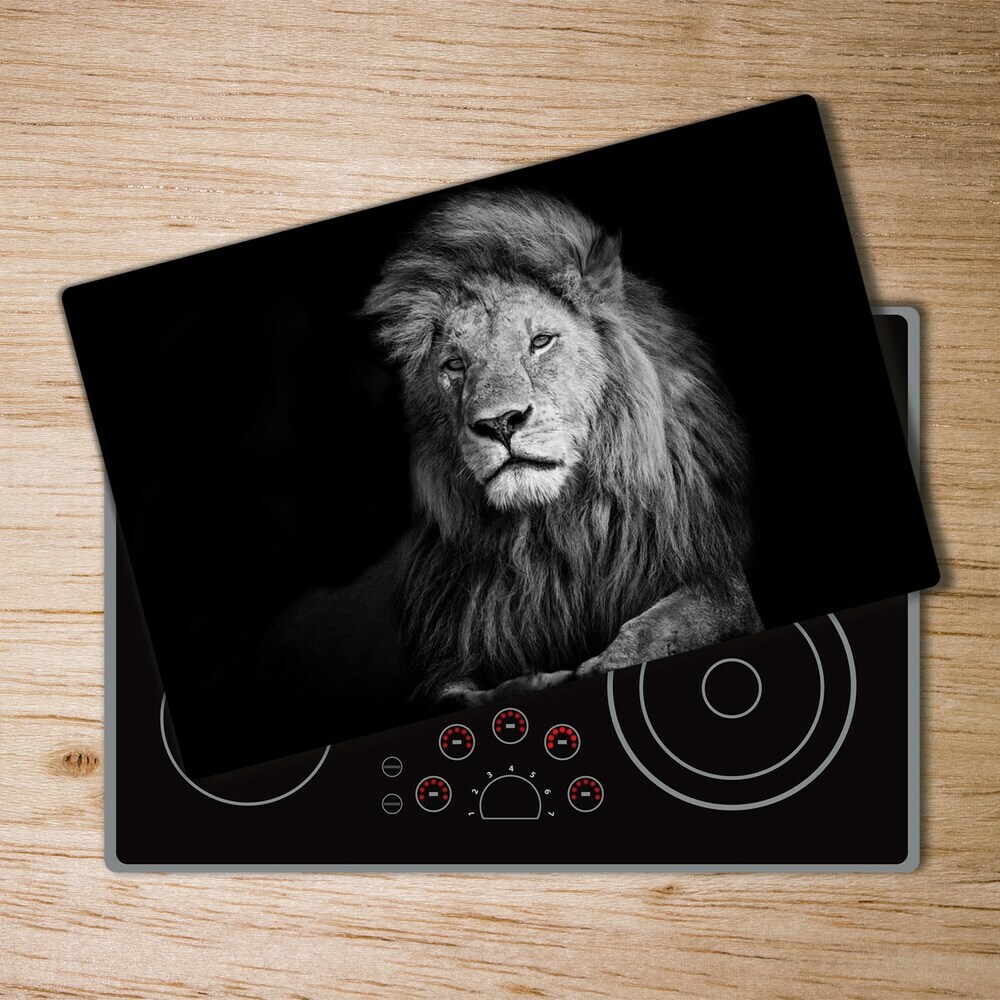 Protection plaque induction Lion