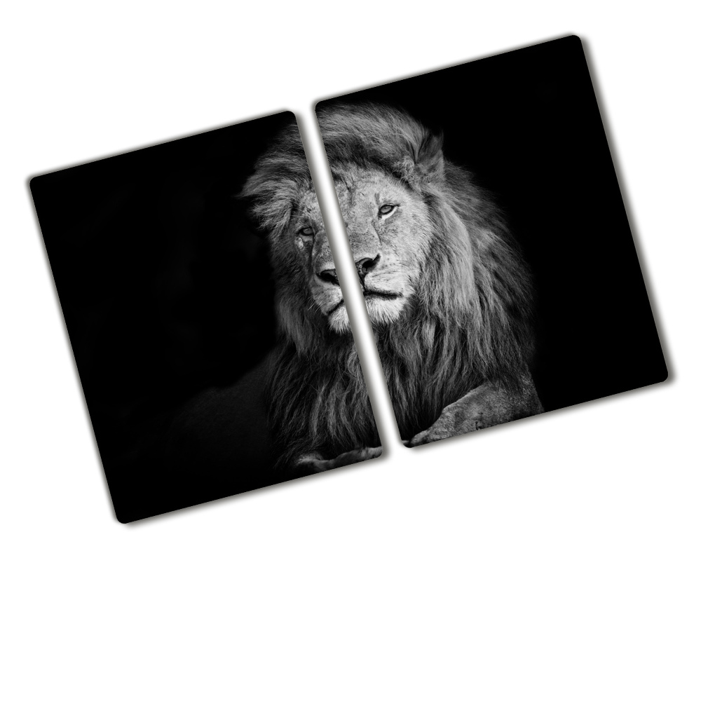 Protection plaque induction Lion