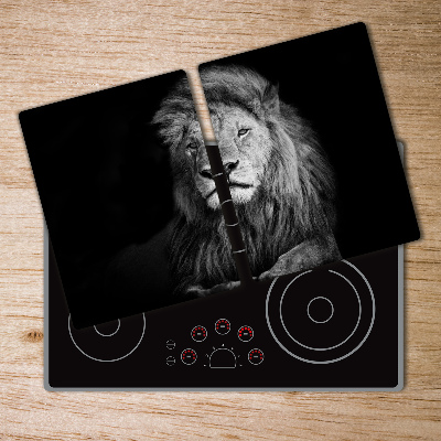 Protection plaque induction Lion