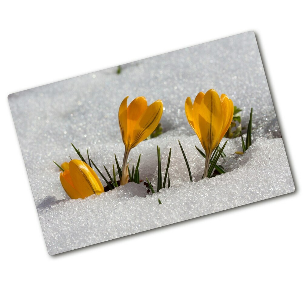 Protection pour plaque de cuisson Crocus dans la neige