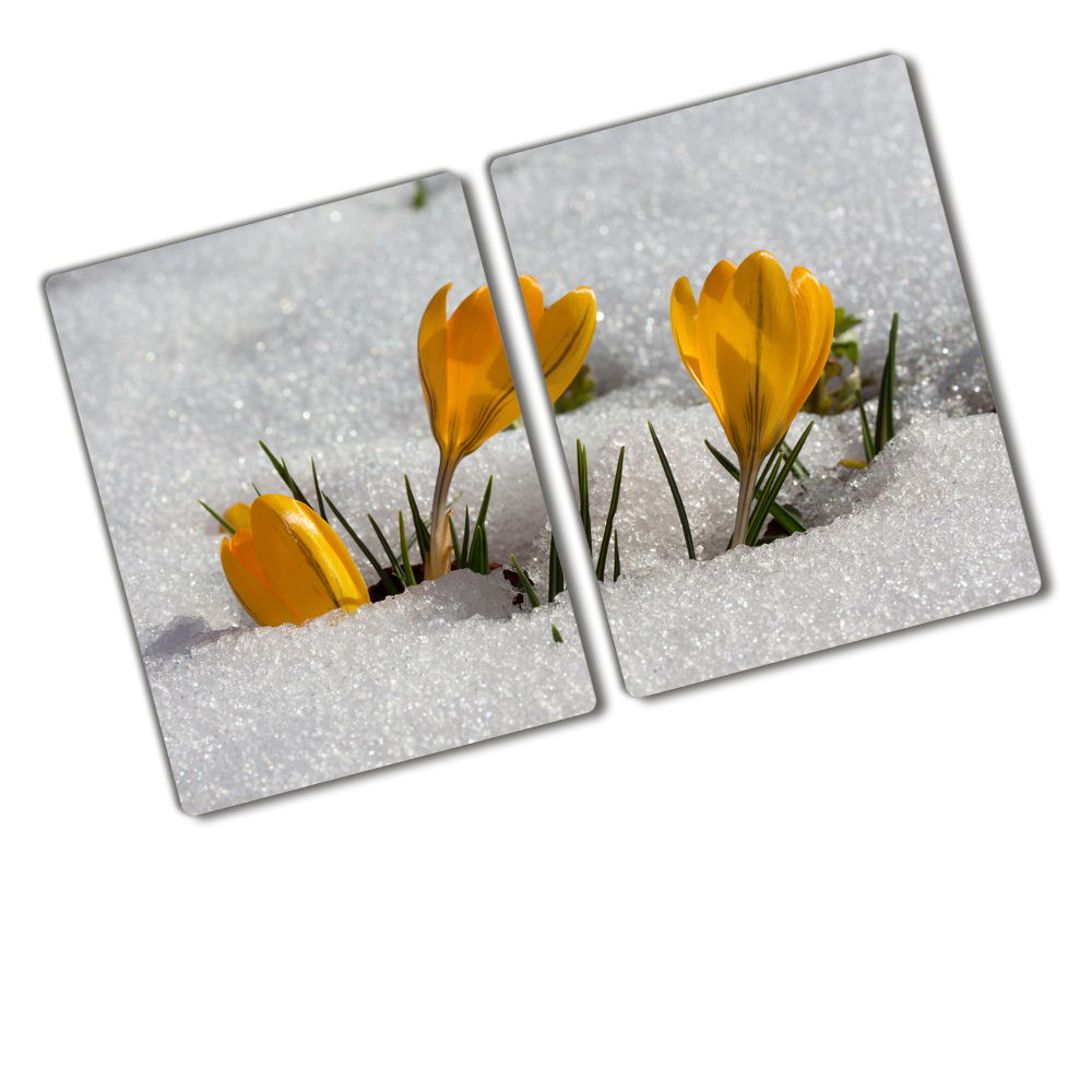 Protection pour plaque de cuisson Crocus dans la neige