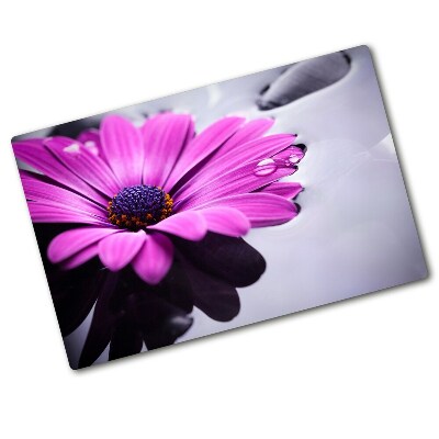 Protection pour plaque de cuisson Gerbera