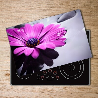 Protection pour plaque de cuisson Gerbera