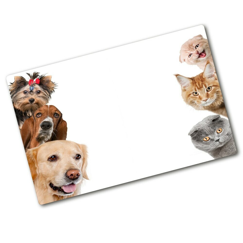 Protection plaque induction Chiens et chats