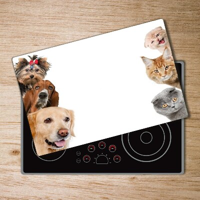 Protection plaque induction Chiens et chats