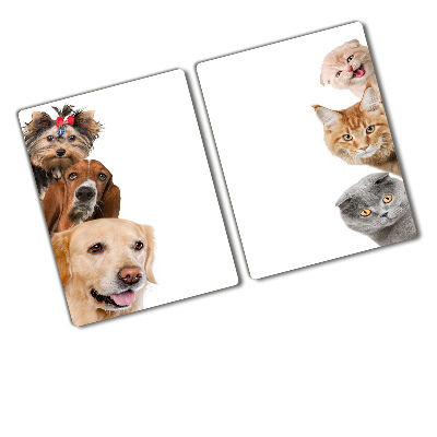 Protection plaque induction Chiens et chats