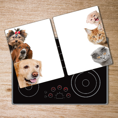 Protection plaque induction Chiens et chats