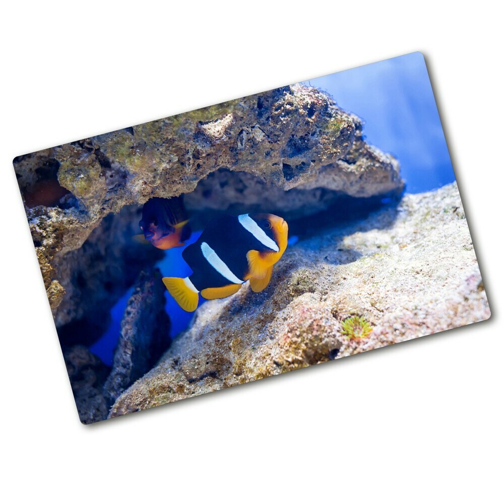 Protection plaque induction Poisson tropical