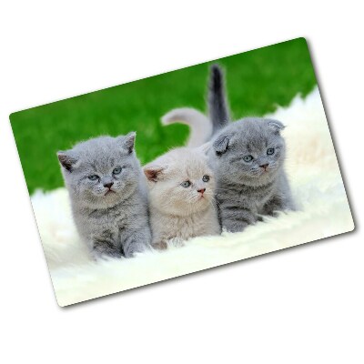 Protection plaque induction Trois chats sur une couverture