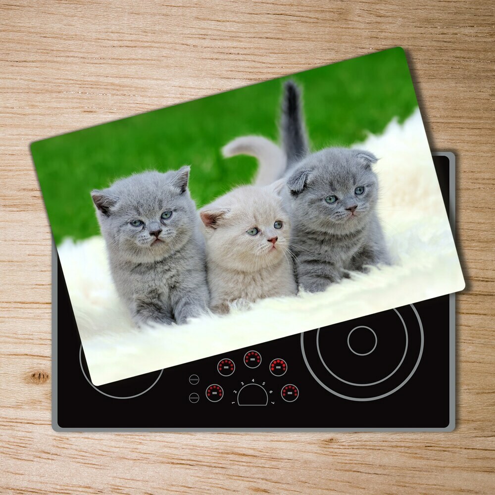 Protection plaque induction Trois chats sur une couverture