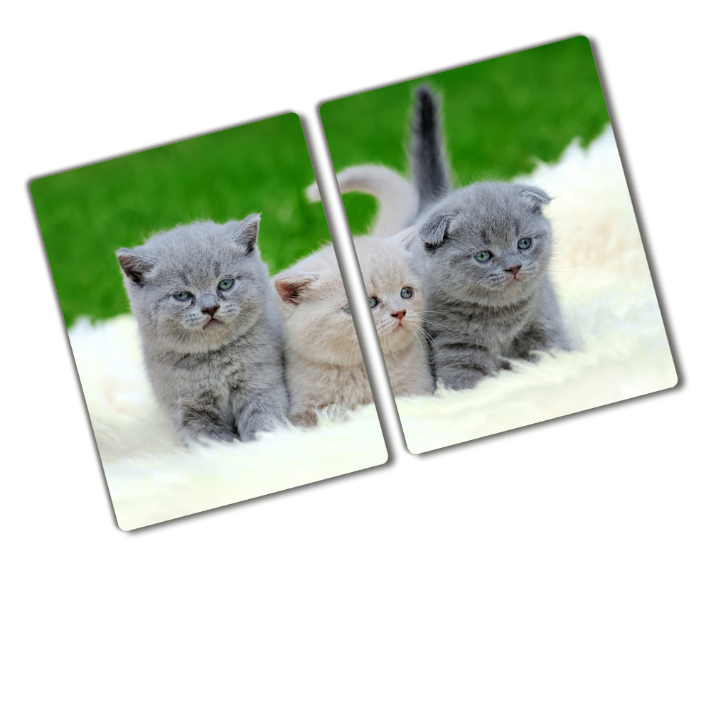 Protection plaque induction Trois chats sur une couverture