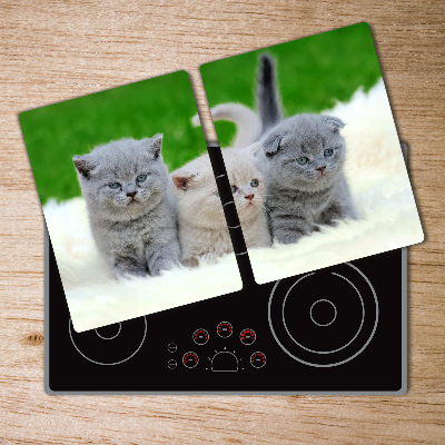 Protection plaque induction Trois chats sur une couverture