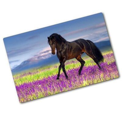 Protection plaque induction Cheval dans un champ de lavande