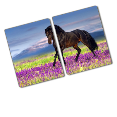 Protection plaque induction Cheval dans un champ de lavande