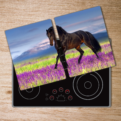 Protection plaque induction Cheval dans un champ de lavande