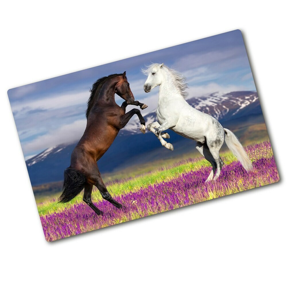 Protection plaque induction Chevaux de combat sur une montagne