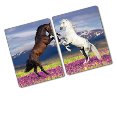 Protection plaque induction Chevaux de combat sur une montagne