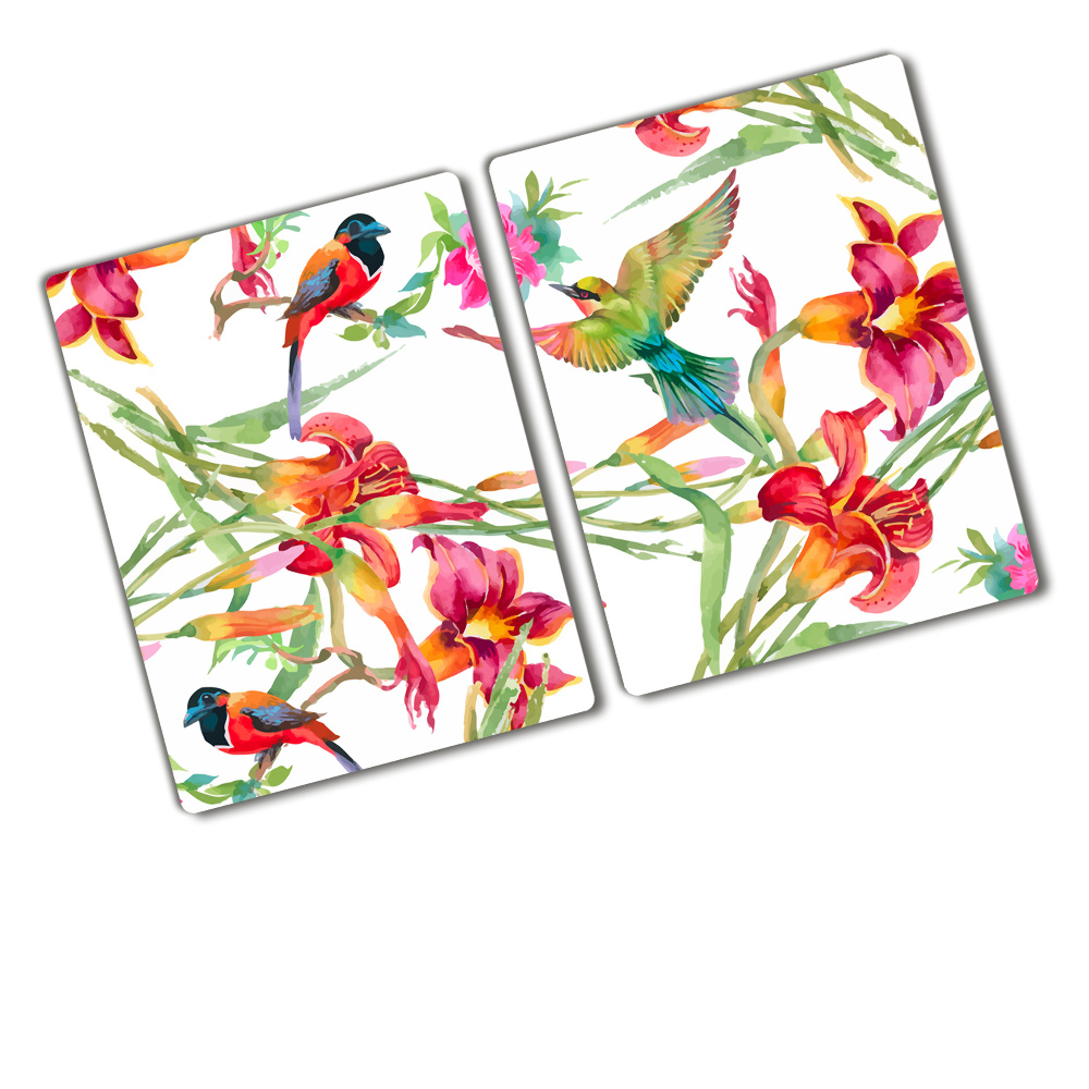 Protection plaque induction Oiseaux exotiques