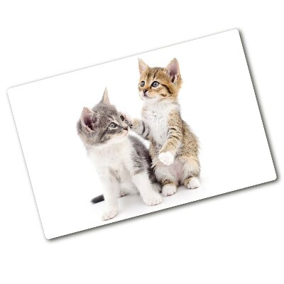 Protection plaque induction Deux petits chats