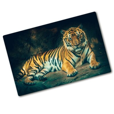 Protection plaque induction Tigre dans une grotte