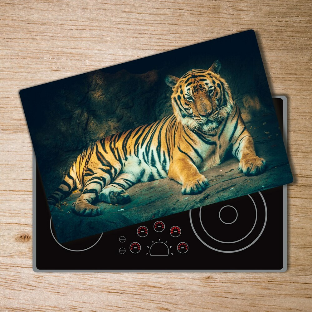 Protection plaque induction Tigre dans une grotte