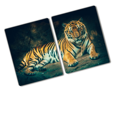 Protection plaque induction Tigre dans une grotte