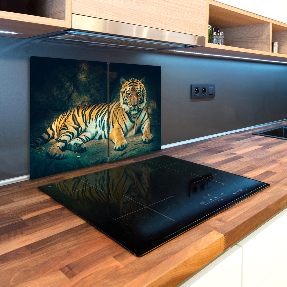 Protection plaque induction Tigre dans une grotte