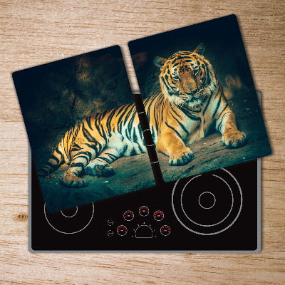 Protection plaque induction Tigre dans une grotte