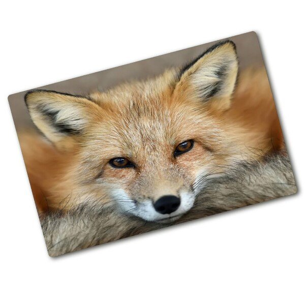 Protection plaque induction Renard