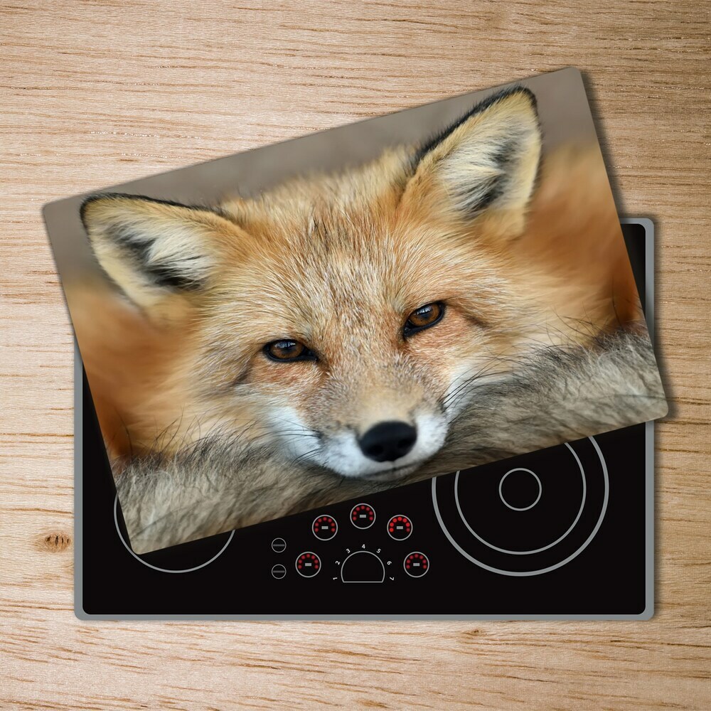 Protection plaque induction Renard