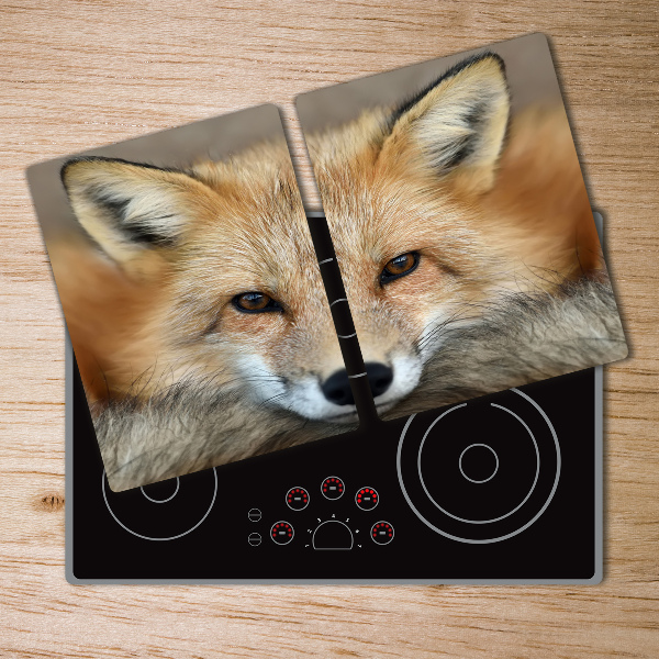 Protection plaque induction Renard