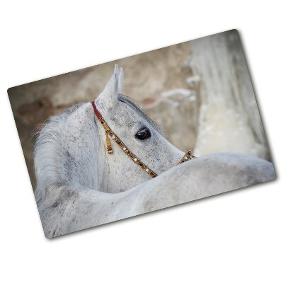 Protection plaque induction Cheval blanc d'Arabie