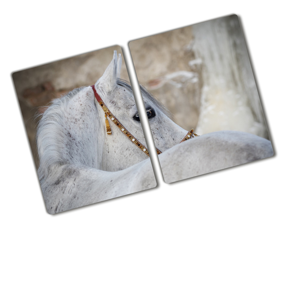 Protection plaque induction Cheval blanc d'Arabie